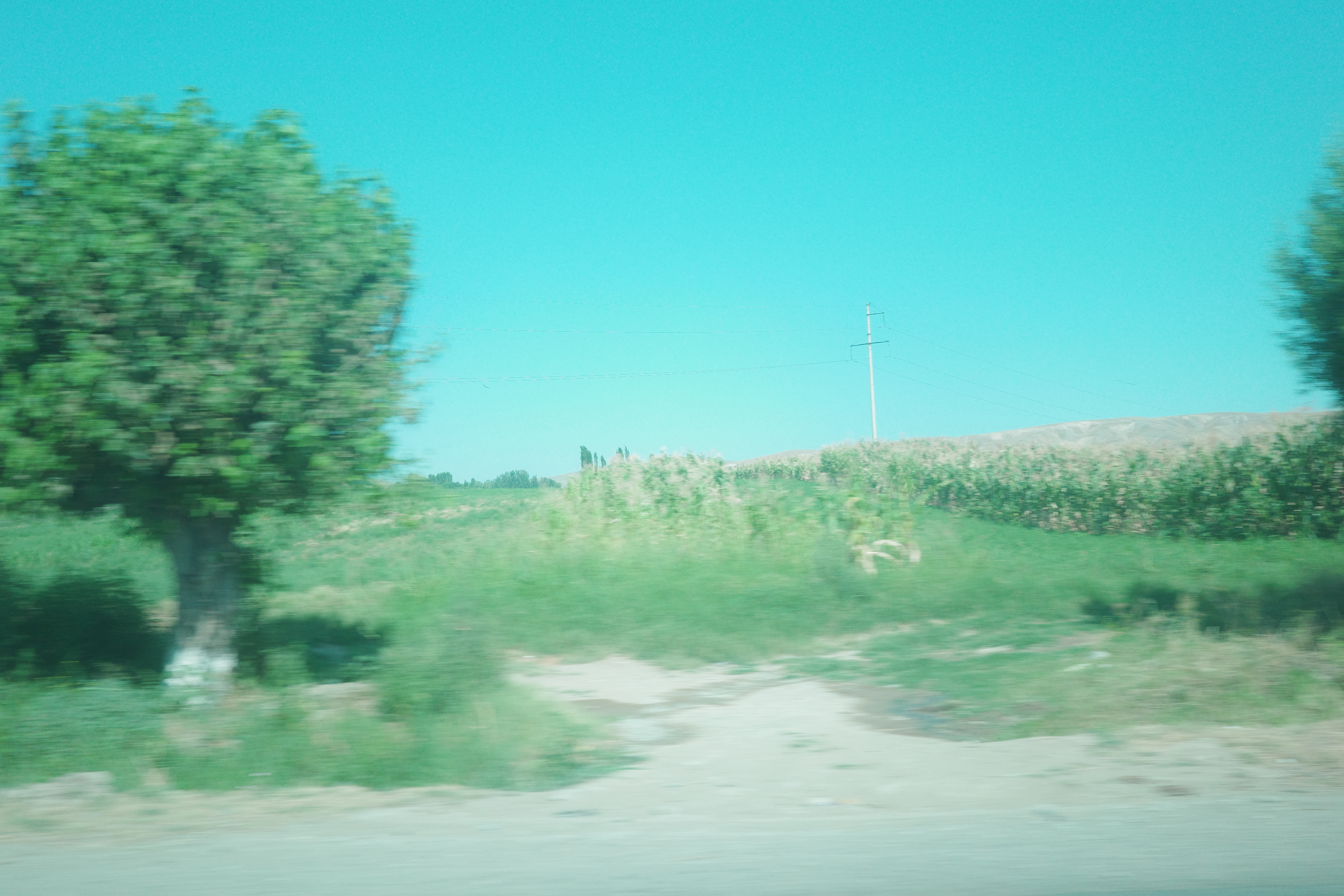 transportation from Bishk to Osh